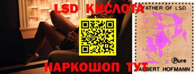 сатива Кингисепп