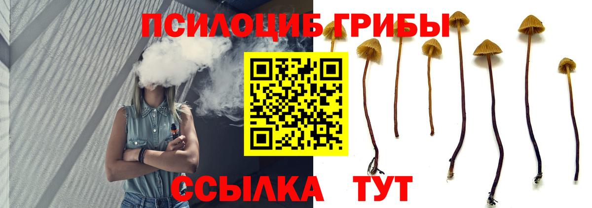 Псилоцибиновые грибы GOLDEN TEACHER  Вход с VPN  где можно купить   Галлюциногенные грибы прущие грибы  Ковров 
